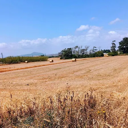 Appartement Casa Sea Breeze *